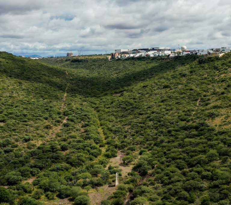 Reserva Natural